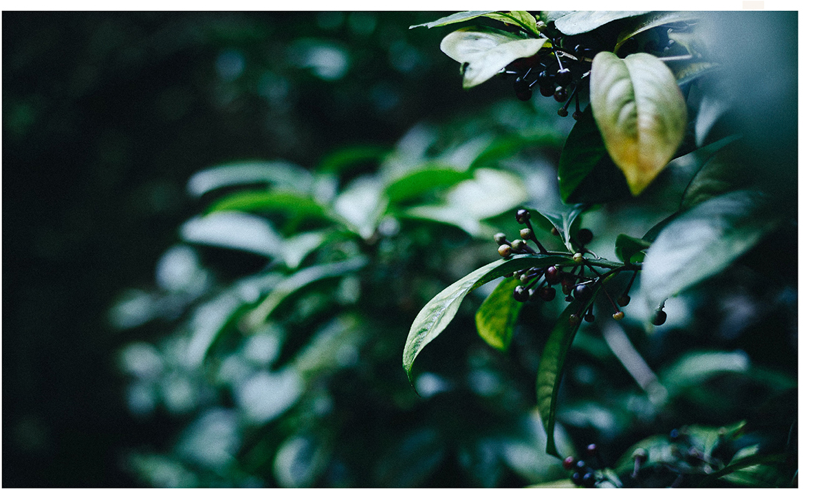 ӢmͤlogoO(sh)Ӌ(j)ƷO(sh)Ӌ(j)